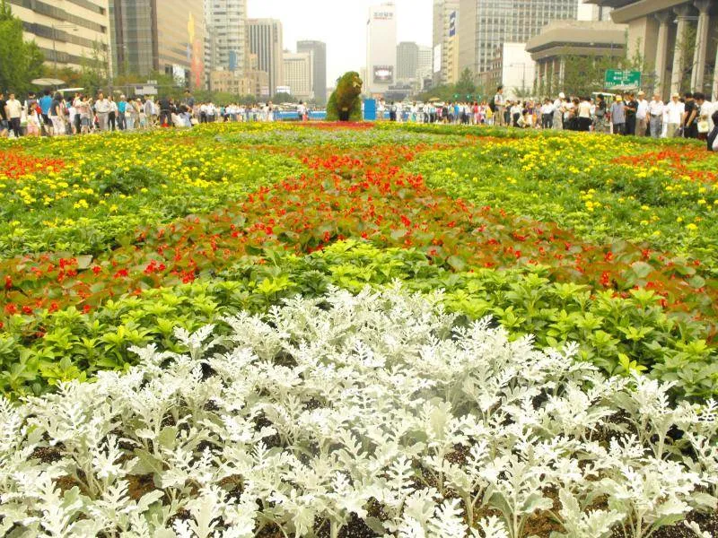 Destination: Gwanghwamun Plaza - a buzzing urban area in the heart of Seoul (South Korea) Destination: Gwanghwamun Plaza - a buzzing urban area in the heart of Seoul (South Korea) - South Korea -