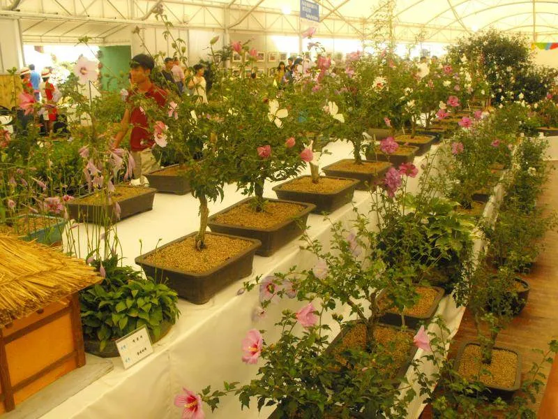 Destination: Incheon Global Fair and Festival 2009, part 2 - South Korea -