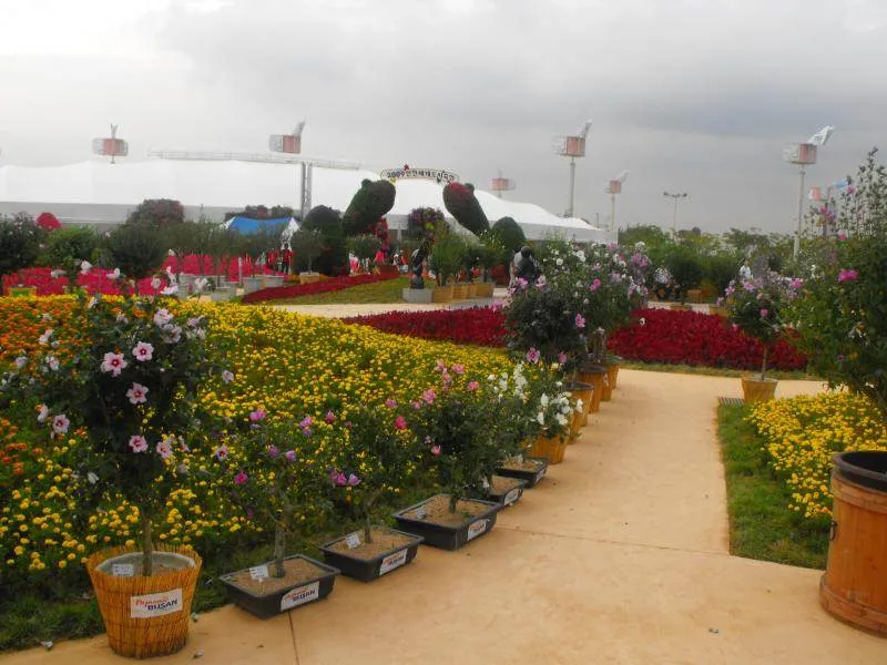 Destination: Incheon Global Fair and Festival 2009, part 2 - South Korea -