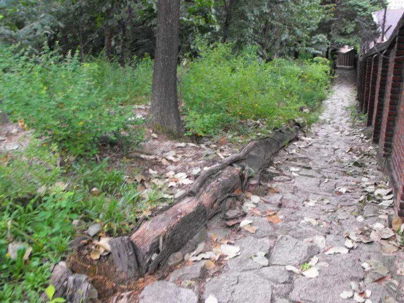 Destination: Bomunsa - a temple of Korean Buddhist nuns (South Korea) - South Korea -