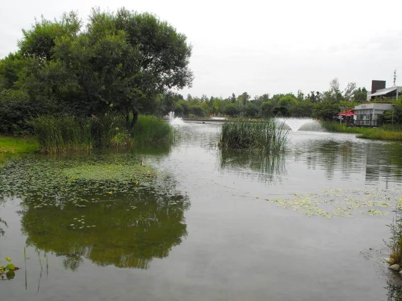 Destination: Seoul Forest, part 2 - another look at the urban wooded area (South Korea) Destination: Seoul Forest, part 2 - another look at the urban wooded area (South Korea) - South Korea -