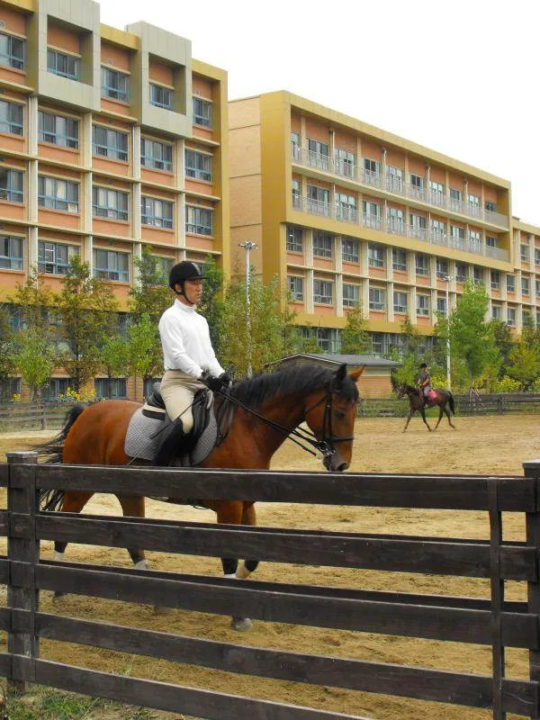 Destination: Seoul Forest, part 2 - another look at the urban wooded area (South Korea) Destination: Seoul Forest, part 2 - another look at the urban wooded area (South Korea) - South Korea -