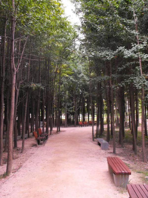Destination: Seoul Forest, part 2 - another look at the urban wooded area (South Korea) Destination: Seoul Forest, part 2 - another look at the urban wooded area (South Korea) - South Korea -