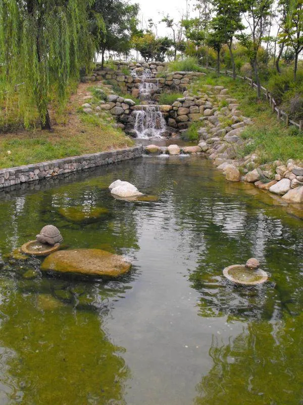 Destination: Seoul Forest, part 2 - another look at the urban wooded area (South Korea) Destination: Seoul Forest, part 2 - another look at the urban wooded area (South Korea) - South Korea -