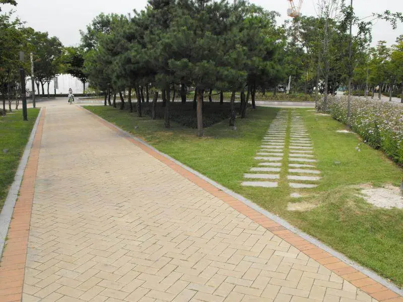 Destination: Seoul Forest, part 2 - another look at the urban wooded area (South Korea) - South Korea -