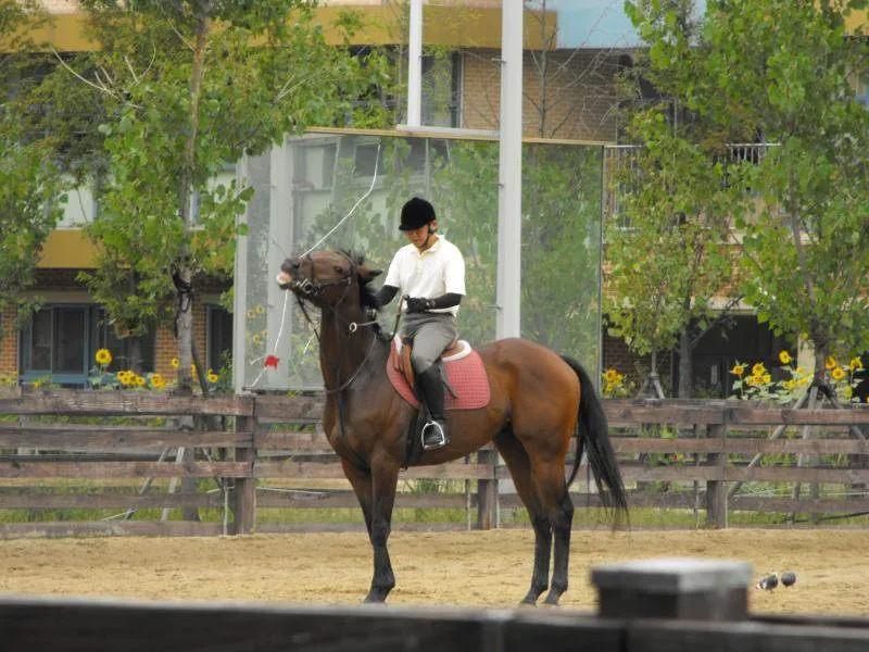 Destination: Seoul Forest, part 2 - another look at the urban wooded area (South Korea) Destination: Seoul Forest, part 2 - another look at the urban wooded area (South Korea) - South Korea -