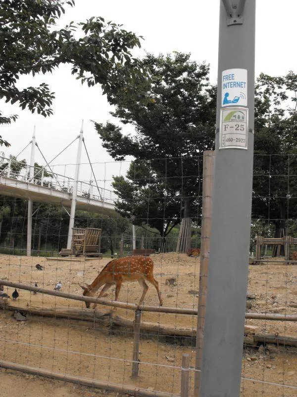 Destination: Seoul Forest, part 2 - another look at the urban wooded area (South Korea) Destination: Seoul Forest, part 2 - another look at the urban wooded area (South Korea) - South Korea -