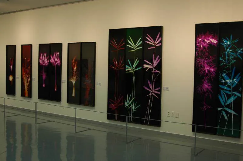 Destination: Dream Forest - a dreamy sort of park (Seoul, South Korea) Destination: Dream Forest - a dreamy sort of park (Seoul, South Korea) - South Korea -