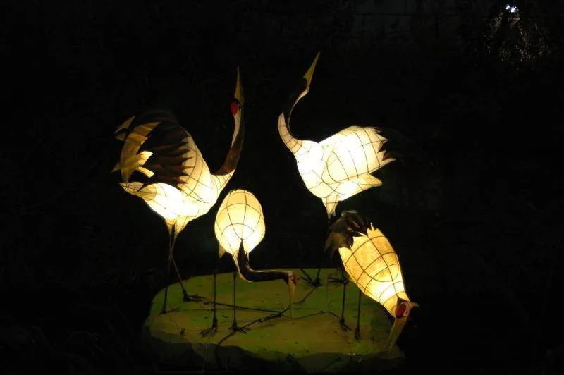 Destination: Seoul Lantern Festival (2009) Destination: Seoul Lantern Festival (2009) - Festivals, South Korea -