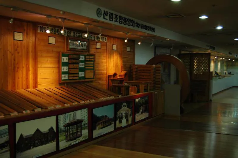 Destination: Hongneung Arboretum - a real-life tree museum (Seoul, South Korea) - South Korea -