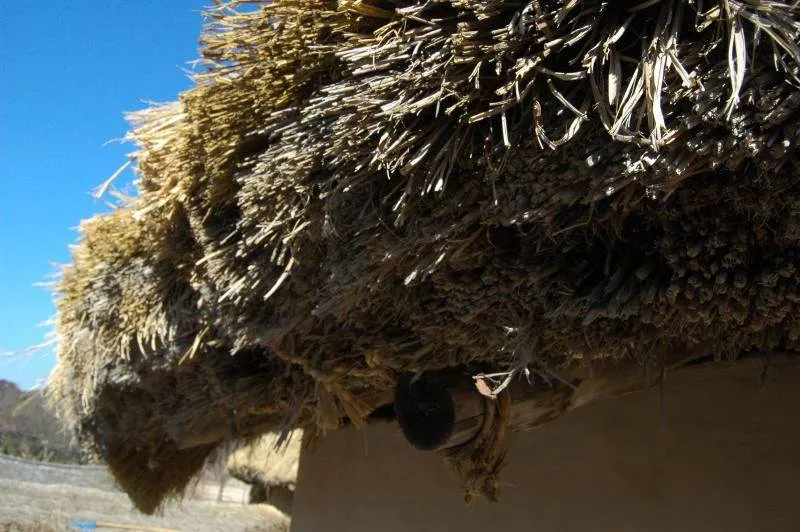 Destination: A day in Andong (Andong City Tour) Destination: A day in Andong (Andong City Tour) - South Korea -