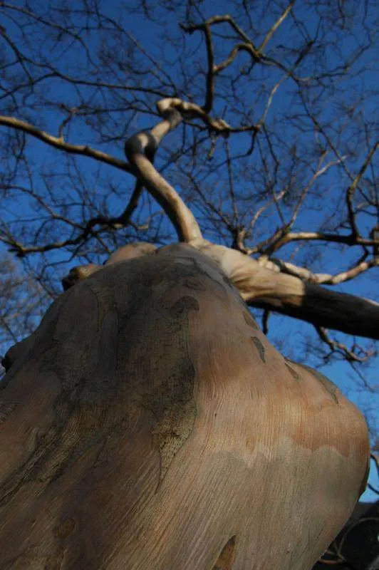 Destination: A day in Andong (Andong City Tour) Destination: A day in Andong (Andong City Tour) - South Korea -