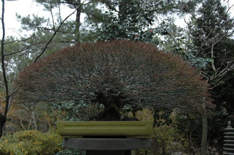 Destination: Jeju, part 3 (South Korea) Destination: Jeju, part 3 (South Korea) - South Korea -