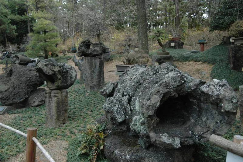 Destination: Jeju, part 3 (South Korea) Destination: Jeju, part 3 (South Korea) - South Korea -