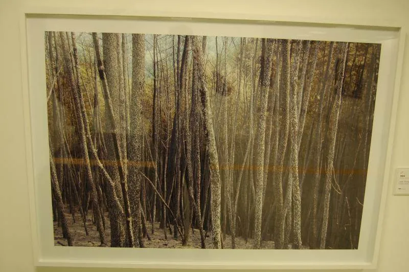 Destination: Seoul International Photography Festival (2010) (South Korea) - Festivals, South Korea -