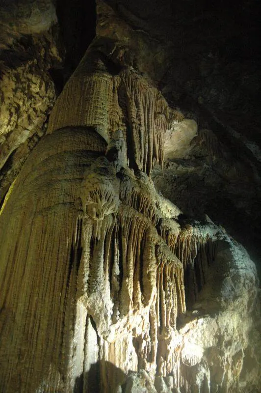 Destination: Hwaam Cave (Jeongseong, Gangwon-do, South Korea) Destination: Hwaam Cave (Jeongseong, Gangwon-do, South Korea) - South Korea -