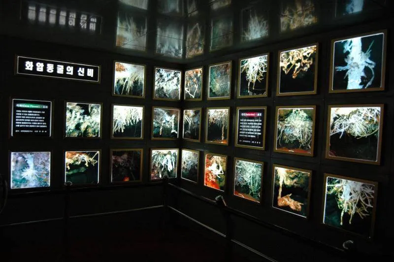 Destination: Hwaam Cave (Jeongseong, Gangwon-do, South Korea) Destination: Hwaam Cave (Jeongseong, Gangwon-do, South Korea) - South Korea -