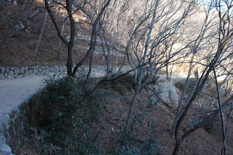 Destination: Seokguram Grotto - an amazing, gorgeous Buddhist shrine (Gyeongju, South Korea) - South Korea -