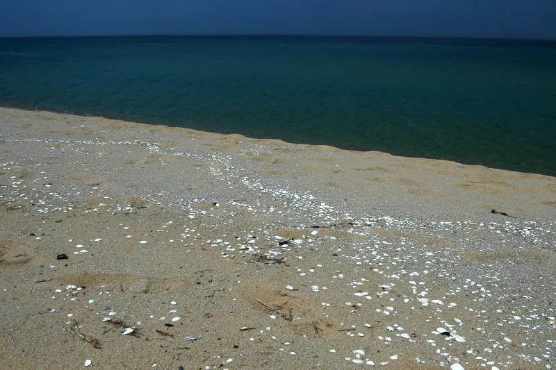 Destination: Jumunjin Beach (Gangneung, Gangwon-do, South Korea) - South Korea -