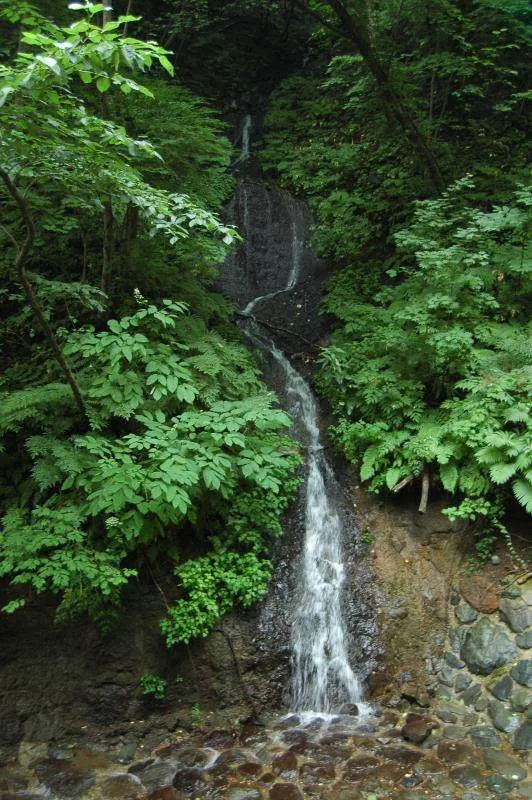 Destination: Ulleungdo (part 3) - South Korea -