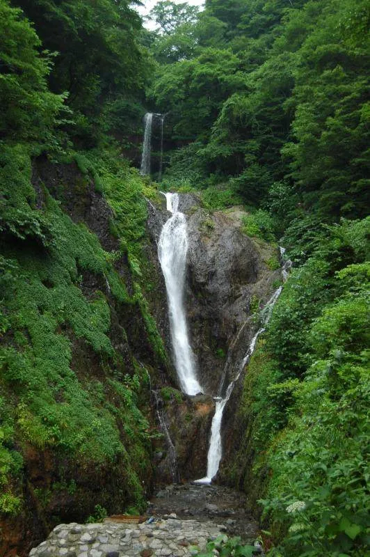 Destination: Ulleungdo (part 3) - South Korea -