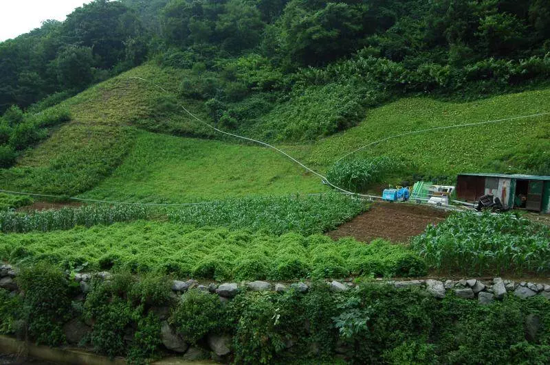 Destination: Ulleungdo (part 3)