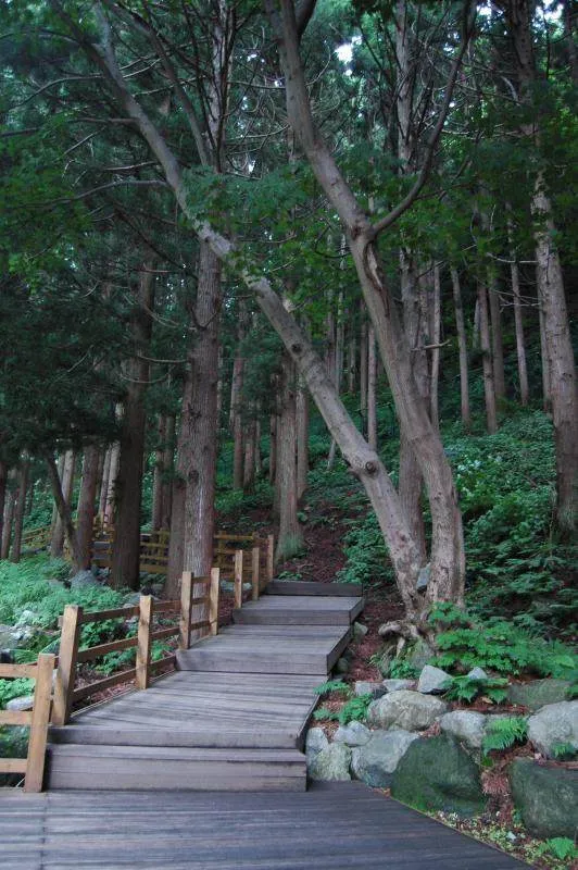 Destination: Ulleungdo (part 3) - South Korea -