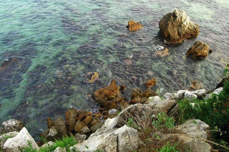 Destination: Chuam Beach / Chuam Sculpture Park (Donghae, Gangwon-do, South Korea) Destination: Chuam Beach / Chuam Sculpture Park (Donghae, Gangwon-do, South Korea) - South Korea -