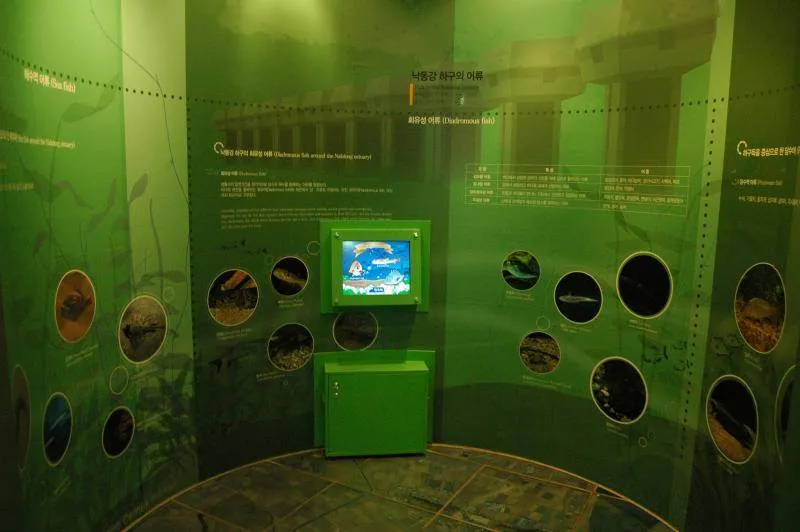 Destination: Nakdong Estuary Eco Center (Busan, South Korea) Destination: Nakdong Estuary Eco Center (Busan, South Korea) - South Korea -