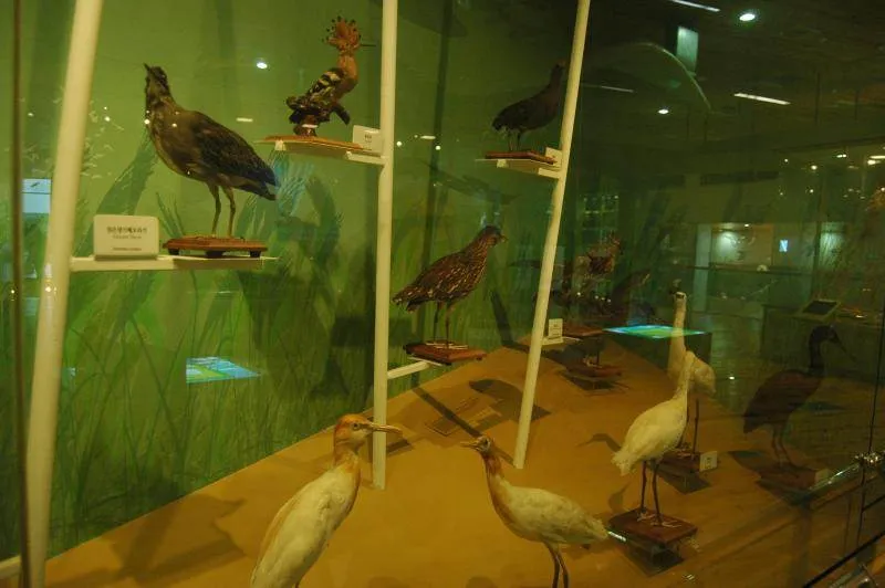 Destination: Nakdong Estuary Eco Center (Busan, South Korea) Destination: Nakdong Estuary Eco Center (Busan, South Korea) - South Korea -