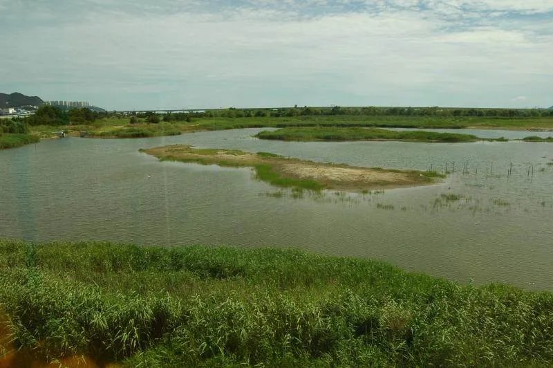 Destination: Nakdong Estuary Eco Center (Busan, South Korea) Destination: Nakdong Estuary Eco Center (Busan, South Korea) - South Korea -