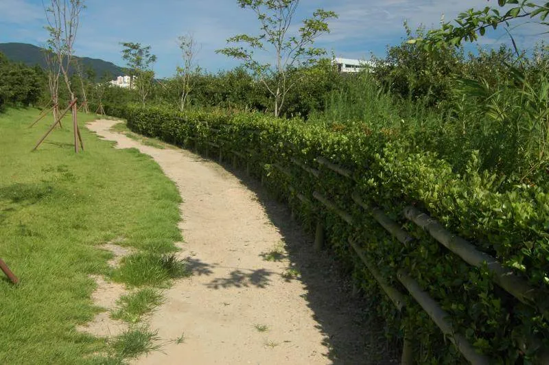 Destination: Nakdong Estuary Eco Center (Busan, South Korea) Destination: Nakdong Estuary Eco Center (Busan, South Korea) - South Korea -