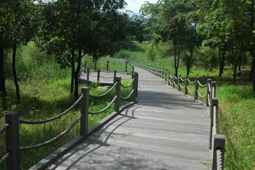Destination: Nakdong Estuary Eco Center (Busan, South Korea) - South Korea -