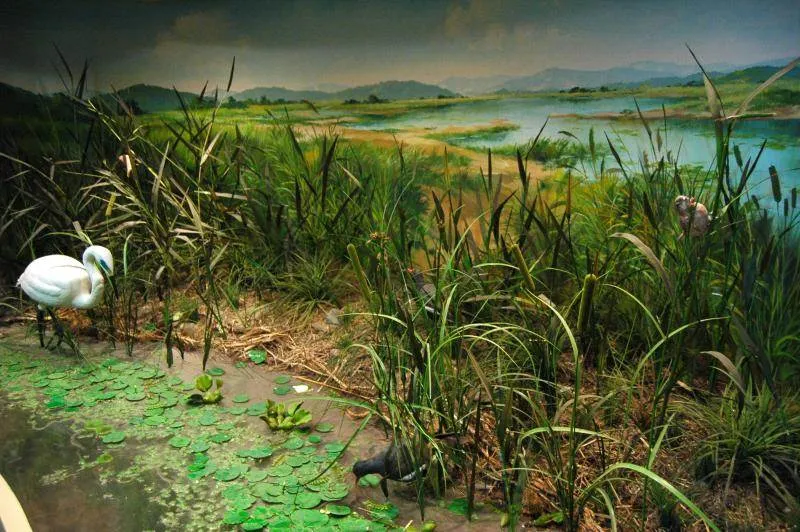 Destination: Nakdong Estuary Eco Center (Busan, South Korea) Destination: Nakdong Estuary Eco Center (Busan, South Korea) - South Korea -