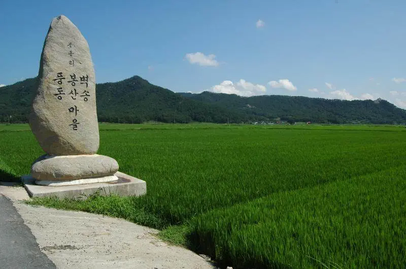 Destination: the biggest Buddha in Korea (Nammireuksa, Gangjin, Jeollanam-do) - South Korea -