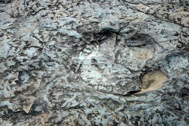 Destination: Petroglyphs in Cheonjeon-ri (Ulju, Ulsan, South Korea) Destination: Petroglyphs in Cheonjeon-ri (Ulju, Ulsan, South Korea) - South Korea -