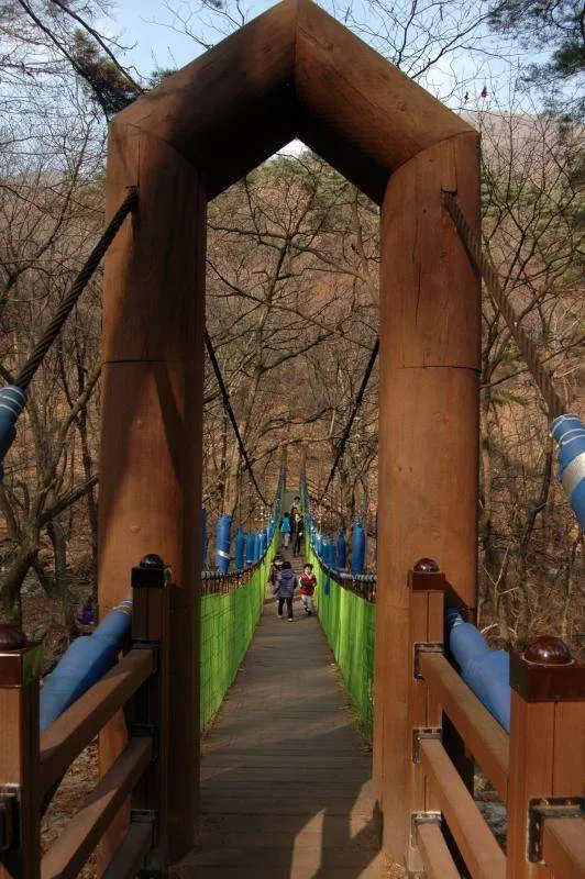 Destination: Yongmunsa - a Buddhist temple with a 1,100 year-old tree (Yangpyeong, Gyeonggi-do, South Korea) Destination: Yongmunsa - a Buddhist temple with a 1,100 year-old tree (Yangpyeong, Gyeonggi-do, South Korea) - South Korea -