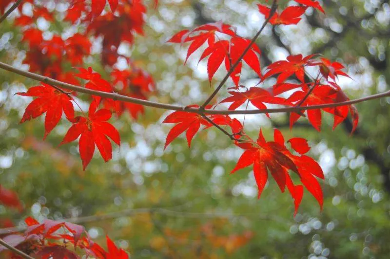 Destination: Jangneung and Bodeoksa - some offbeat travels in Gangwon-do, South Korea - South Korea -