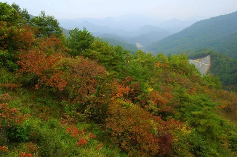 Destination: Gossi cave (Gangwon-do, South Korea) - South Korea -
