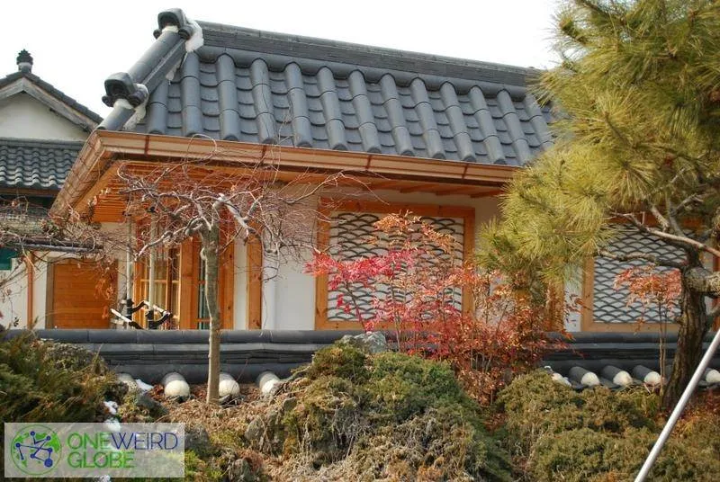 Destination: Jeonju, part 1 (Jeollabuk-do, South Korea) DSC_0742