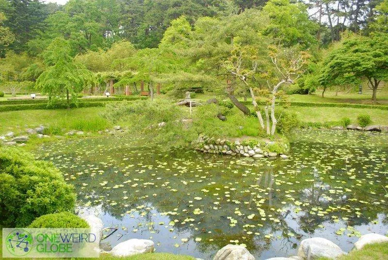 Destination: Ojukheon black bamboo forest / Gangneung city museum (Gangneung, Gangwon-do, South Korea) - South Korea -