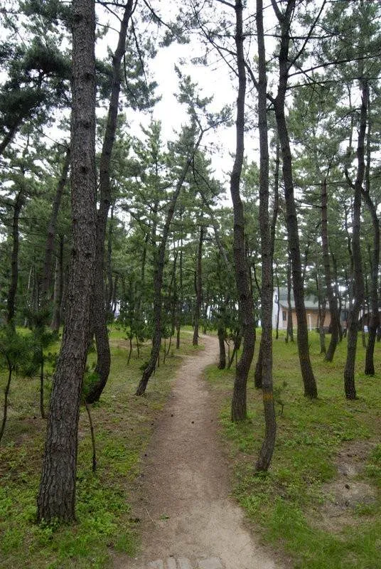 Destination: Sokcho Beach (Sokcho, Gangwon-do, South Korea) Destination: Sokcho Beach (Sokcho, Gangwon-do, South Korea) - South Korea -