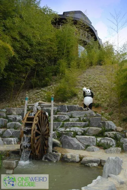 Destination: Juknokwon Bamboo Forest (Damyang, Jeollanam-do, South Korea) - South Korea -