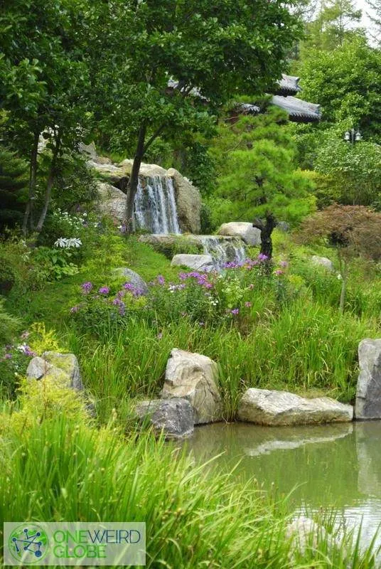 Destination: the Garden of Morning Calm (Cheongpyeong-gun, Gyeonggi-do, South Korea)) Destination: the Garden of Morning Calm (Cheongpyeong-gun, Gyeonggi-do, South Korea)) - South Korea -