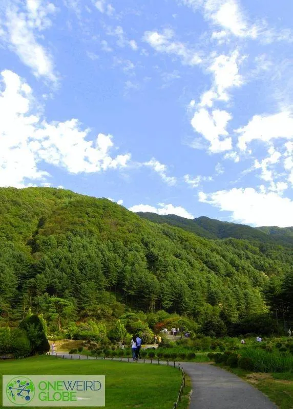 Destination: the Garden of Morning Calm (Cheongpyeong-gun, Gyeonggi-do, South Korea)) Destination: the Garden of Morning Calm (Cheongpyeong-gun, Gyeonggi-do, South Korea)) - South Korea -