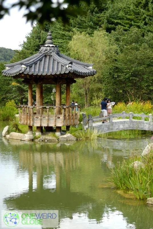 Destination: the Garden of Morning Calm (Cheongpyeong-gun, Gyeonggi-do, South Korea)) Destination: the Garden of Morning Calm (Cheongpyeong-gun, Gyeonggi-do, South Korea)) - South Korea -