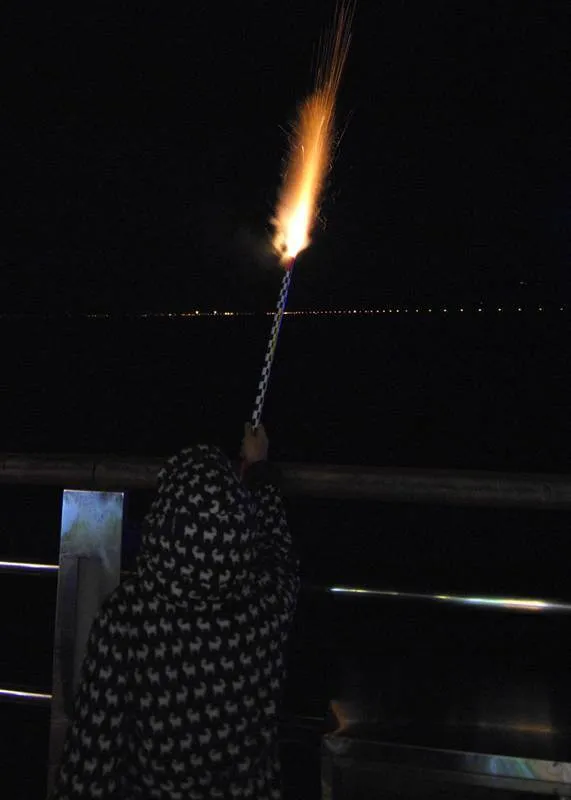 Destination: Wolmi-do Amusement Park — at night (Incheon) - South Korea -