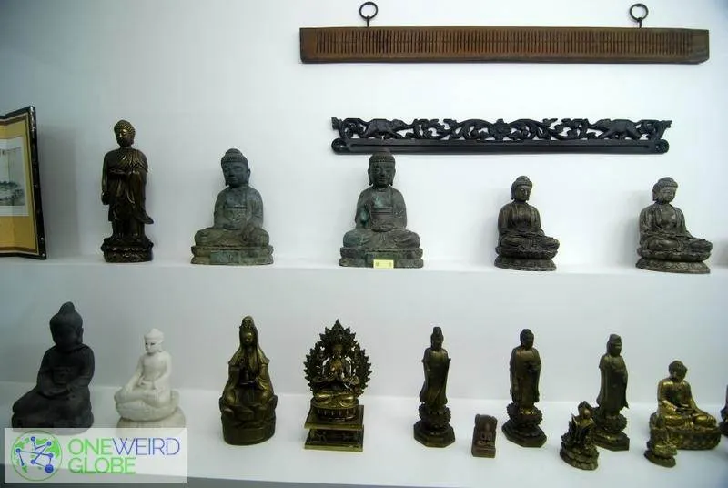 Destination: Jupil Spider Museum (Namyangju, Gyeonggi-do, South Korea) Destination: Jupil Spider Museum (Namyangju, Gyeonggi-do, South Korea) - South Korea -