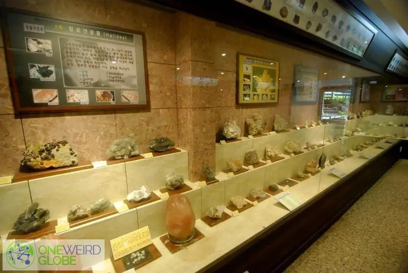 Destination: Jupil Spider Museum (Namyangju, Gyeonggi-do, South Korea) - South Korea -