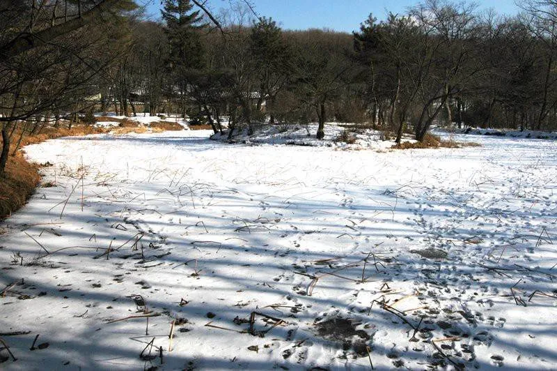 Destination: Wonjong Jangneung - a less-traveled Joseon Dynasty tomb (Gimpo, Gyeonggi-do) Destination: Wonjong Jangneung - a less-traveled Joseon Dynasty tomb (Gimpo, Gyeonggi-do) - South Korea -